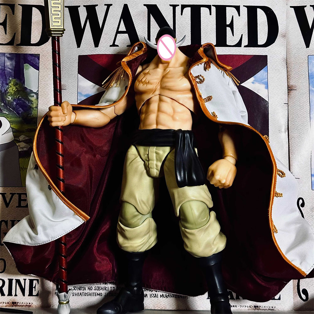 Handmade Classic Japanese Anim - Windbreaker Anime Merchandise review and price