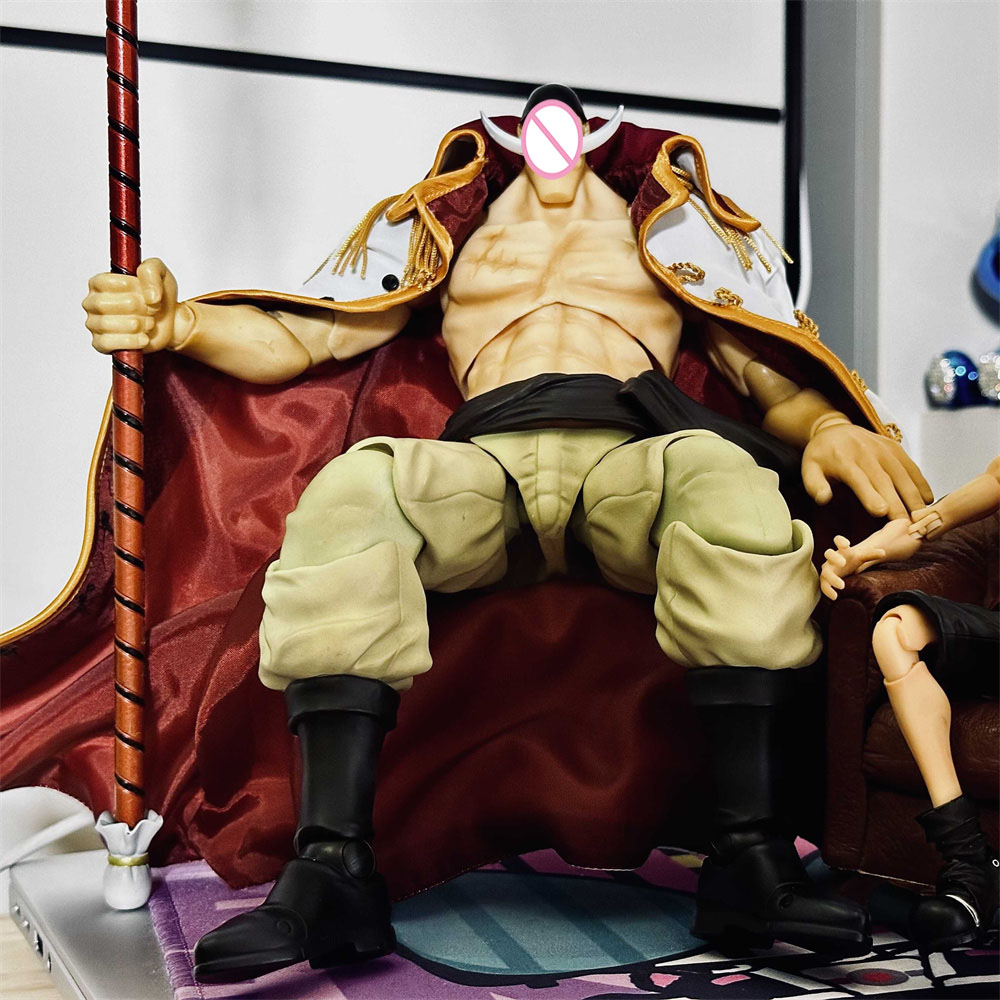 Handmade Classic Japanese Anim - Windbreaker Anime Merchandise review and price